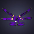 Racing Harness (Comp Spec/6-Point)