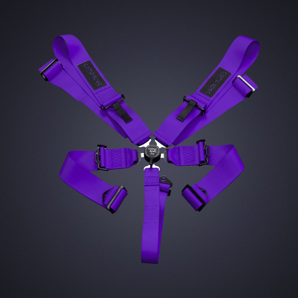 Racing Harness (Comp Spec/5-Point)