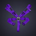 Racing Harness (Comp Spec/5-Point)